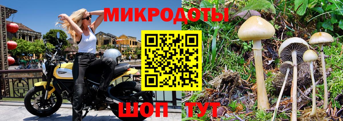 Галлюциногенные грибы Magic Shrooms Архангельск