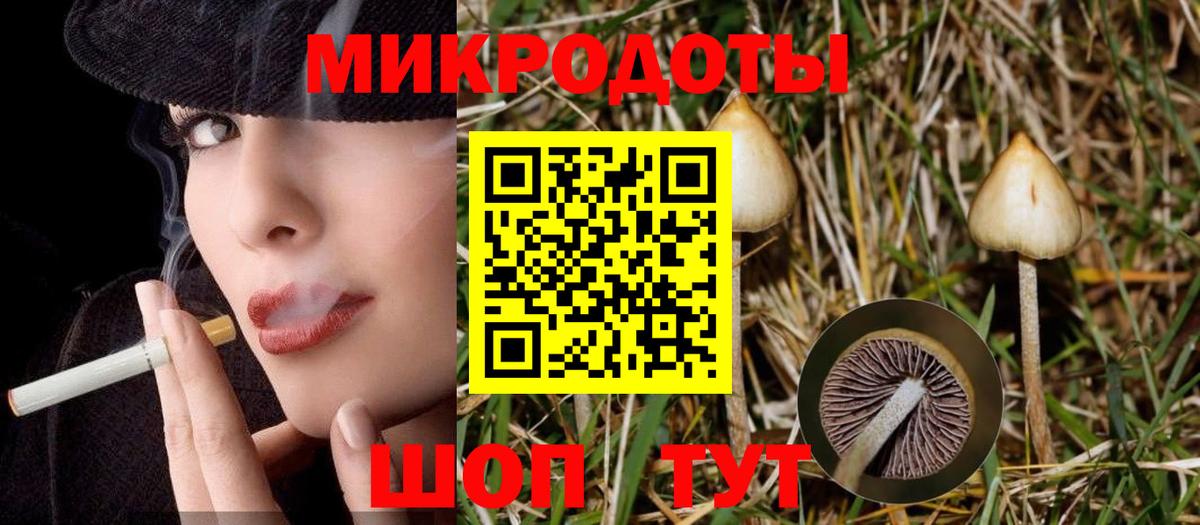 Галлюциногенные грибы Psilocybine cubensis  Вход с VPN  Архангельск 